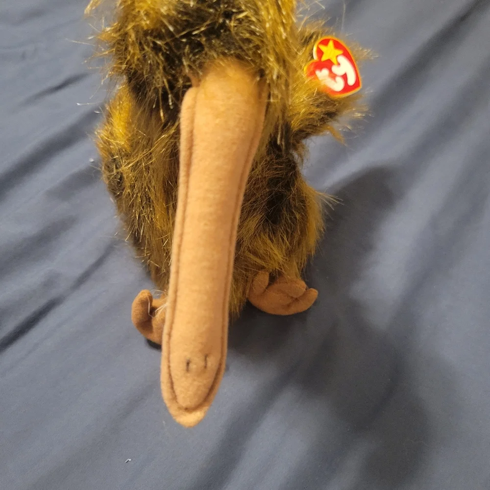 TY BEANIE BUDDY -  BEAK - KIWI BIRD - ONE OF THE ORIGINAL NINE BUDDIES